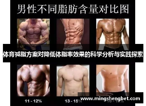 体育减脂方案对降低体脂率效果的科学分析与实践探索