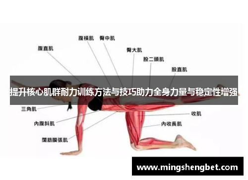 提升核心肌群耐力训练方法与技巧助力全身力量与稳定性增强