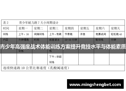 青少年高强度战术体能训练方案提升竞技水平与体能素质
